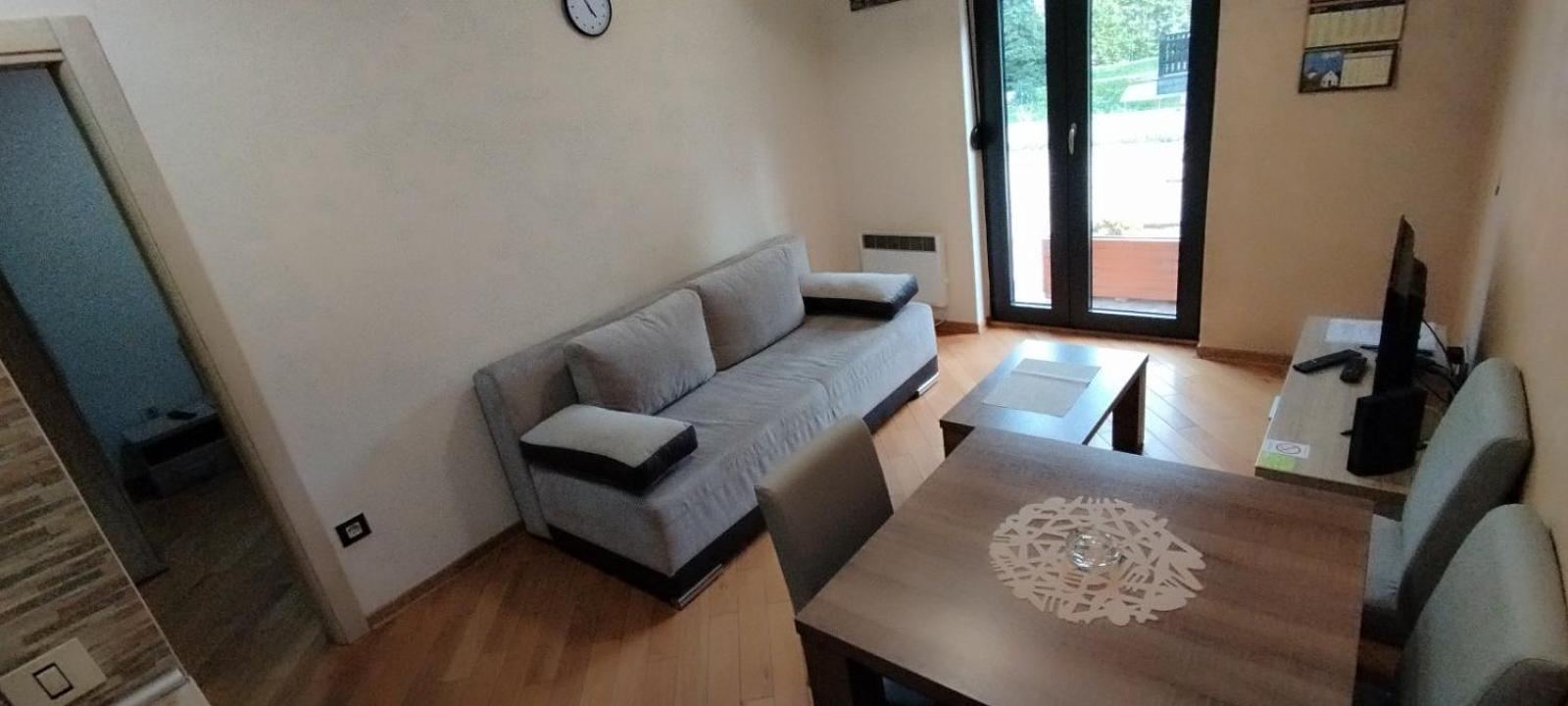 Apartment Miletic 4