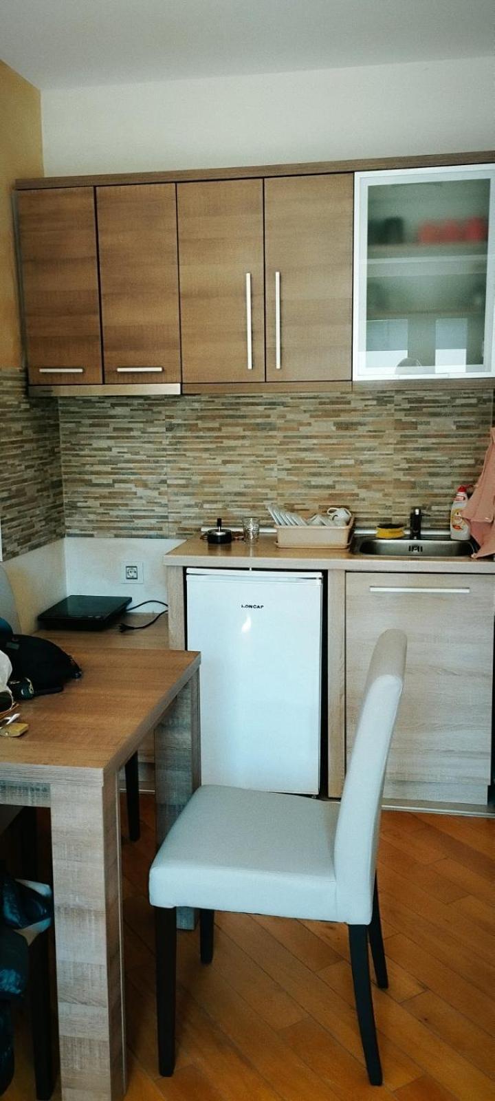 Apartment Miletic 4