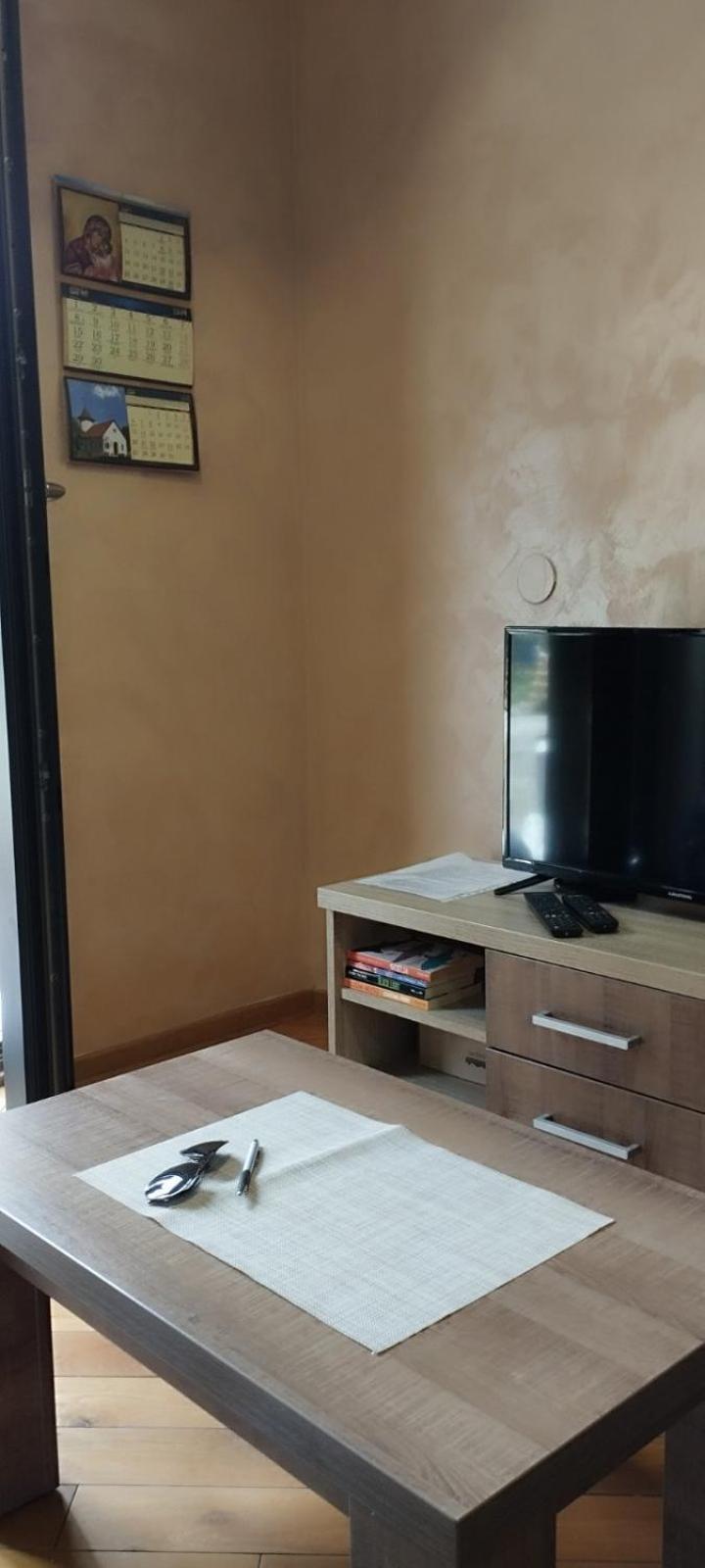 Apartment Miletic 4